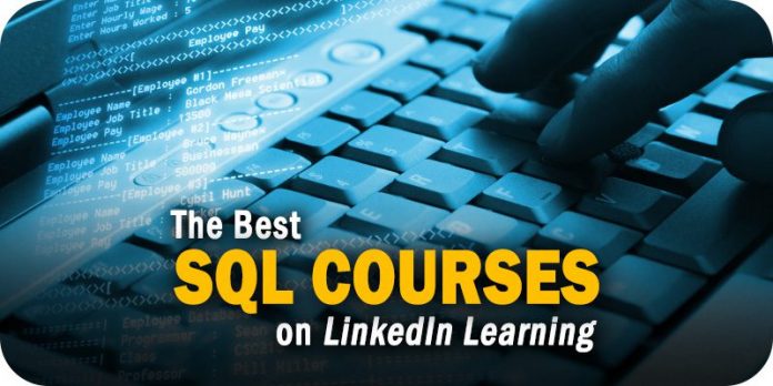 free SQL Essential Training