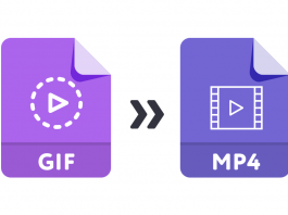 best Gif to Video Mp4