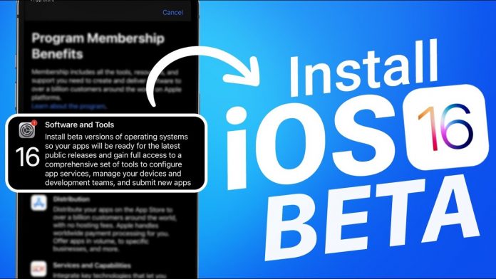 ios 16 beta download